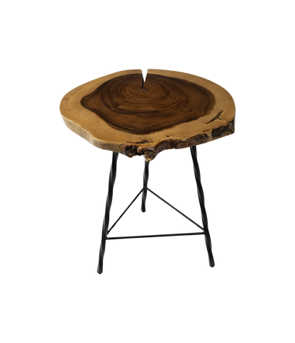 Tree Trunk Side Table