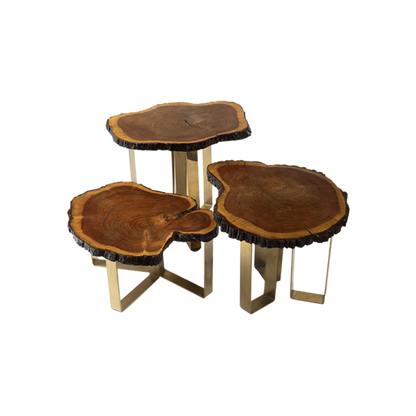 Tree Trunk Trio Table Set