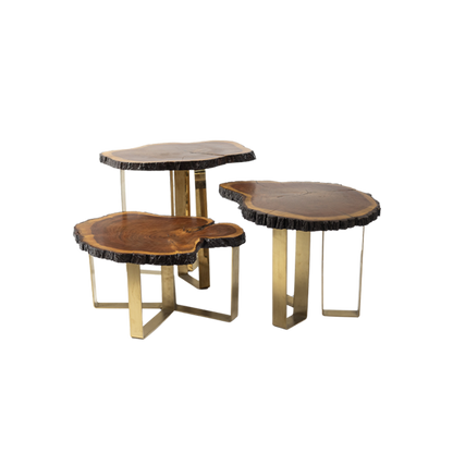 Tree Trunk Trio Table Set